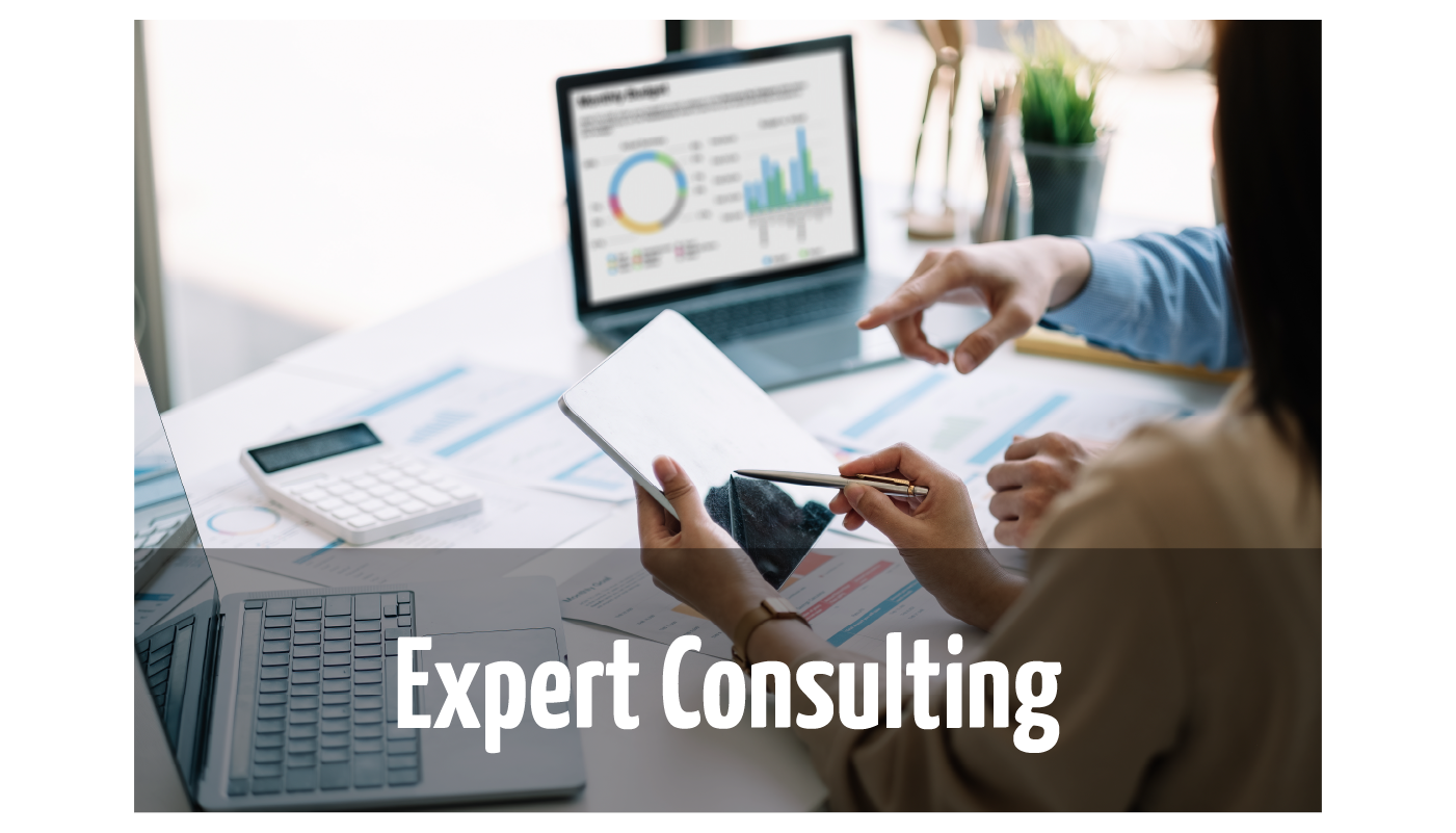 Expert consulting